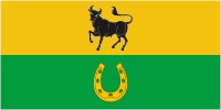 Флаг городского поселка Желудок (Беларусь)